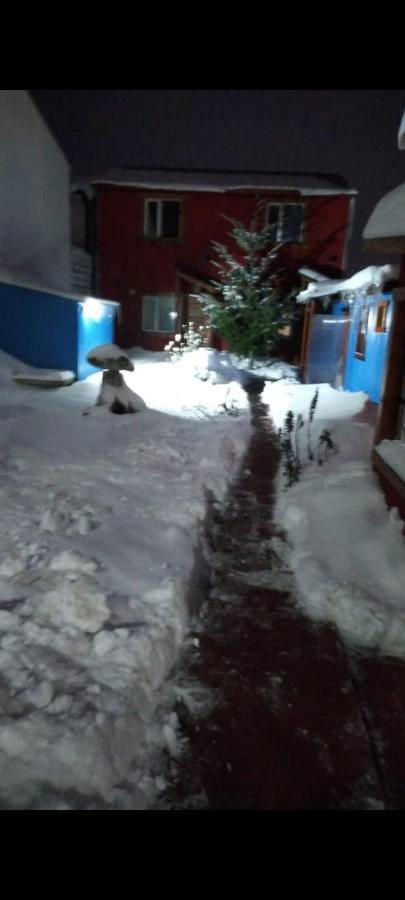 Ushuaia Centro Complejo De Cabanas 外观 照片
